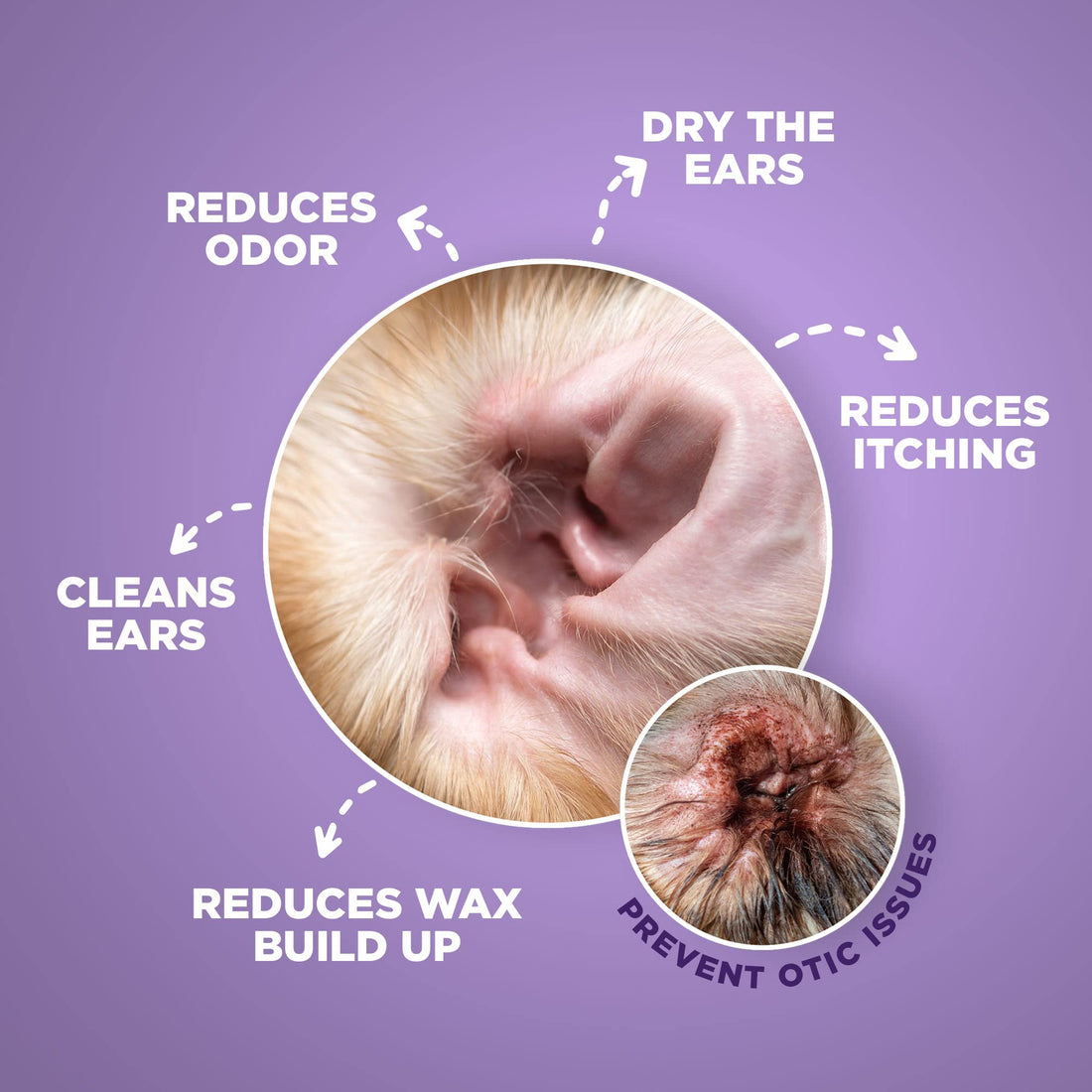 Preventing Canine Ear Infections: The Vital Role of Hygiene and Medicated Ear Flush